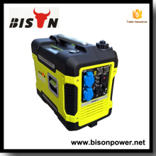 Bison China Zhejiang Automatic Transfer Switch For Generator 2KW 3000 Watt Inverter Generator For Sale